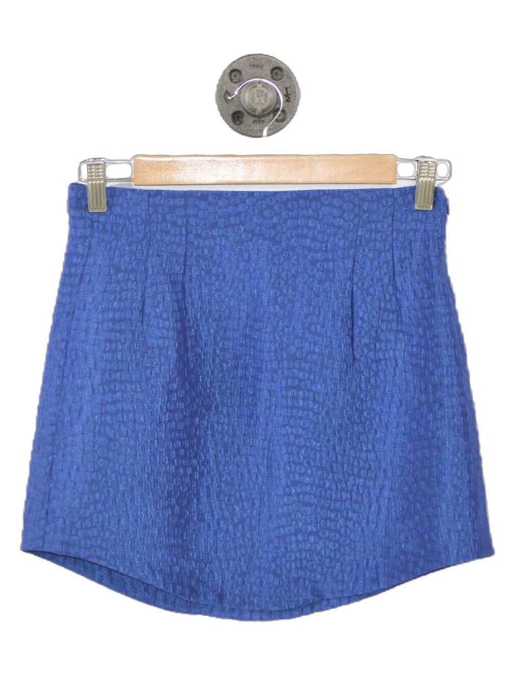 Zara Mini Skirt #219-2